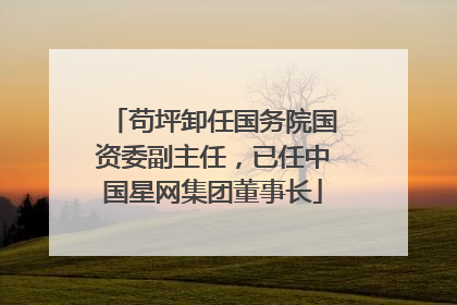 苟坪卸任国务院国资委副主任，已任中国星网集团董事长
