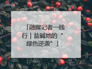 融媒记者一线行｜盐碱地的“绿色逆袭”