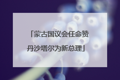 蒙古国议会任命赞丹沙塔尔为新总理