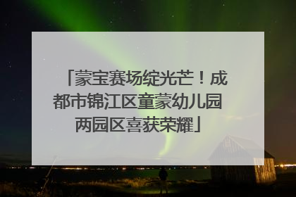 蒙宝赛场绽光芒！成都市锦江区童蒙幼儿园两园区喜获荣耀