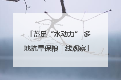 蓄足“水动力” 多地抗旱保粮一线观察