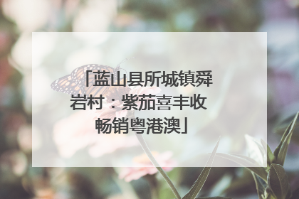 蓝山县所城镇舜岩村：紫茄喜丰收 畅销粤港澳