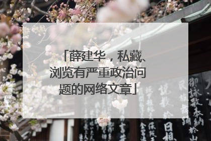 薛建华，私藏、浏览有严重政治问题的网络文章