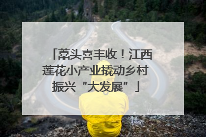 藠头喜丰收！江西莲花小产业撬动乡村振兴“大发展”