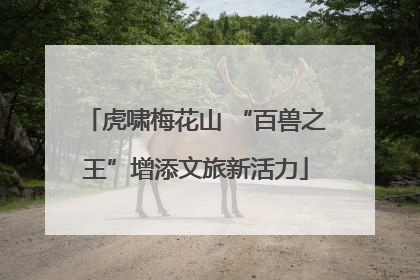 虎啸梅花山 “百兽之王”增添文旅新活力