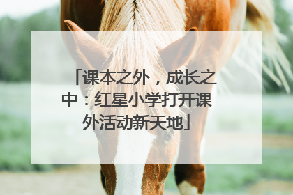 课本之外，成长之中：红星小学打开课外活动新天地