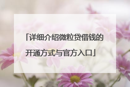 详细介绍微粒贷借钱的开通方式与官方入口