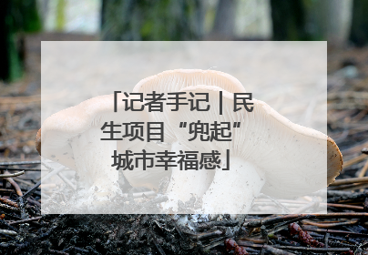 记者手记｜民生项目“兜起”城市幸福感