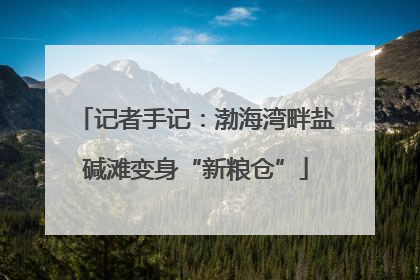记者手记：渤海湾畔盐碱滩变身“新粮仓”