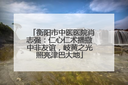 衡阳市中医医院肖志强：仁心仁术播撒中非友谊，岐黄之光照亮津巴大地