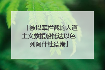 被以军拦截的人道主义救援船抵达以色列阿什杜德港