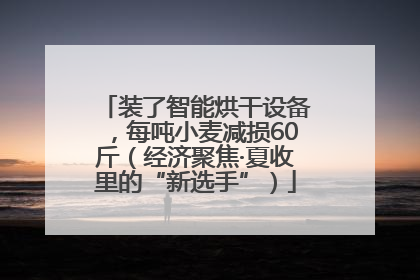 装了智能烘干设备，每吨小麦减损60斤（经济聚焦·夏收里的“新选手”）