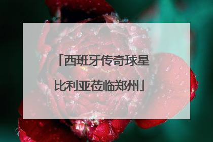 西班牙传奇球星 比利亚莅临郑州