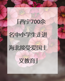 西宁700余名中小学生走进海北接受爱国主义教育