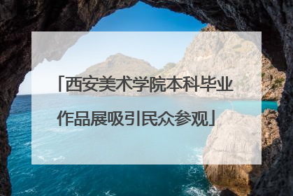 西安美术学院本科毕业作品展吸引民众参观