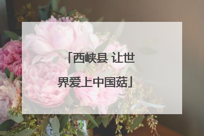 西峡县 让世界爱上中国菇