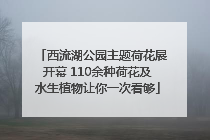 西流湖公园主题荷花展开幕 110余种荷花及水生植物让你一次看够