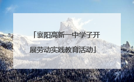 襄阳高新一中学子开展劳动实践教育活动