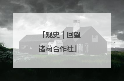 观史｜回望诸葛合作社