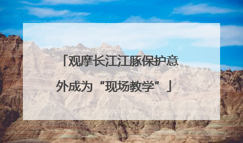 观摩长江江豚保护意外成为“现场教学”
