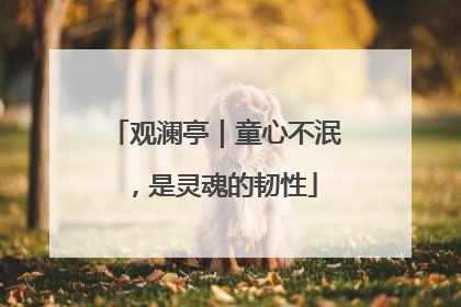 观澜亭｜童心不泯，是灵魂的韧性
