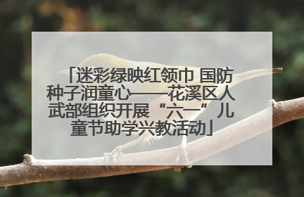 迷彩绿映红领巾 国防种子润童心——花溪区人武部组织开展“六一”儿童节助学兴教活动