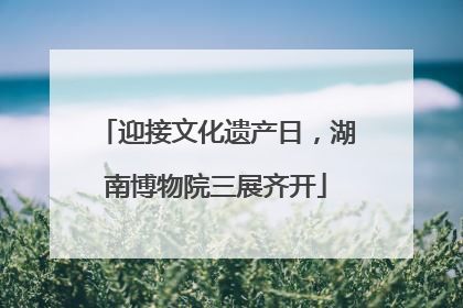 迎接文化遗产日，湖南博物院三展齐开