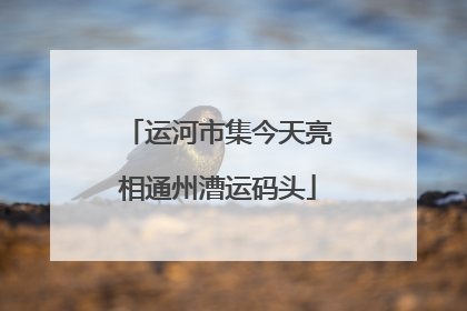 运河市集今天亮相通州漕运码头