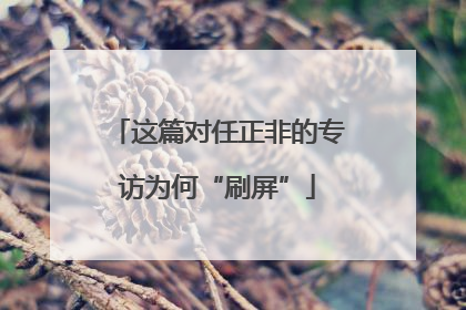 这篇对任正非的专访为何“刷屏”
