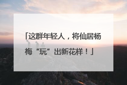 这群年轻人，将仙居杨梅“玩”出新花样！