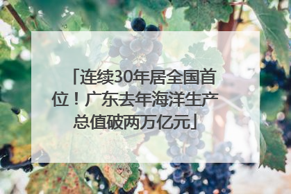 连续30年居全国首位！广东去年海洋生产总值破两万亿元