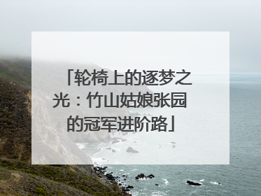 轮椅上的逐梦之光：竹山姑娘张园的冠军进阶路
