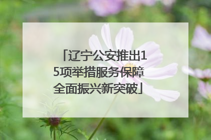辽宁公安推出15项举措服务保障全面振兴新突破