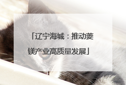辽宁海城：推动菱镁产业高质量发展