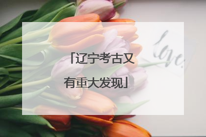 辽宁考古又有重大发现