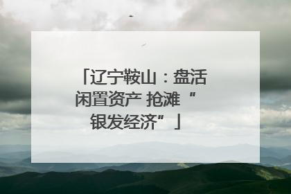 辽宁鞍山：盘活闲置资产 抢滩“银发经济”