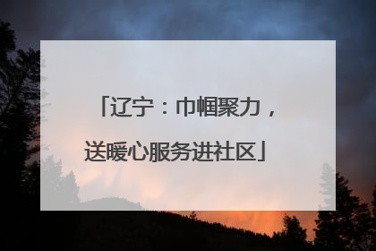 辽宁：巾帼聚力，送暖心服务进社区