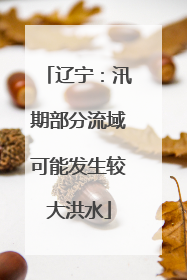 辽宁：汛期部分流域可能发生较大洪水
