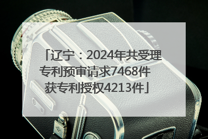 辽宁：2024年共受理专利预审请求7468件 获专利授权4213件