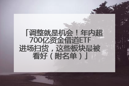 调整就是机会！年内超700亿资金借道ETF进场扫货，这些板块最被看好（附名单）