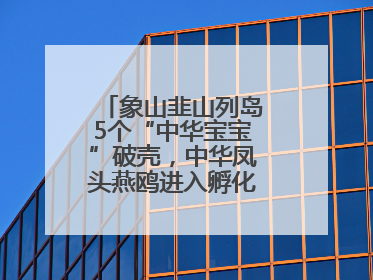 象山韭山列岛5个“中华宝宝”破壳，中华凤头燕鸥进入孵化育儿关键期