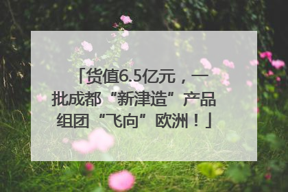 货值6.5亿元，一批成都“新津造”产品组团“飞向”欧洲！