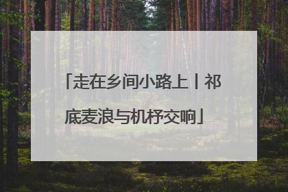 走在乡间小路上丨祁底麦浪与机杼交响