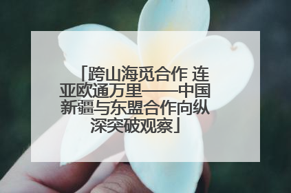 跨山海觅合作 连亚欧通万里——中国新疆与东盟合作向纵深突破观察