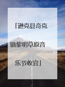 逊克县奇克镇黎明草原音乐节收官
