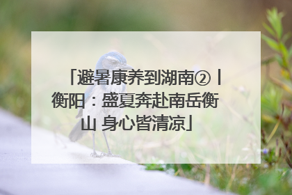 避暑康养到湖南②丨衡阳：盛夏奔赴南岳衡山 身心皆清凉
