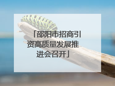 邵阳市招商引资高质量发展推进会召开