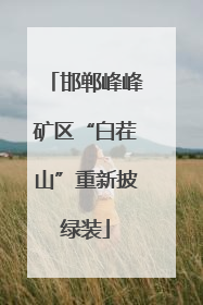 邯郸峰峰矿区“白茬山”重新披绿装