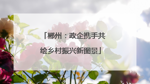 郴州：政企携手共绘乡村振兴新图景