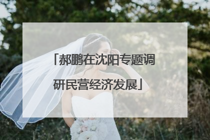 郝鹏在沈阳专题调研民营经济发展